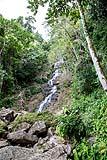 Antelope Falls Mayflower NP Belize 2019